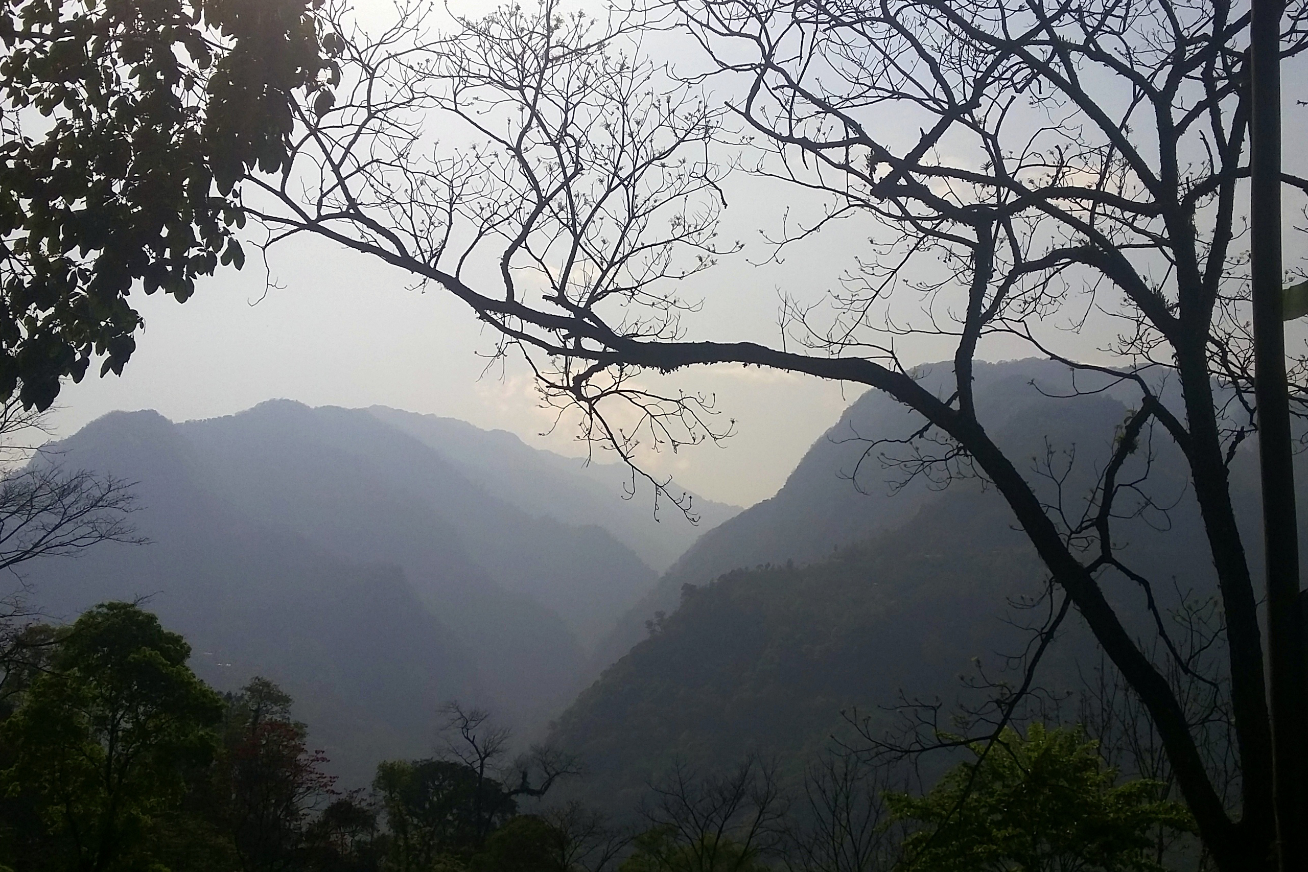 Discover Arunachal Pradesh: A 10-Day Road Trip with a Thrilling Kajiranga Day Safari