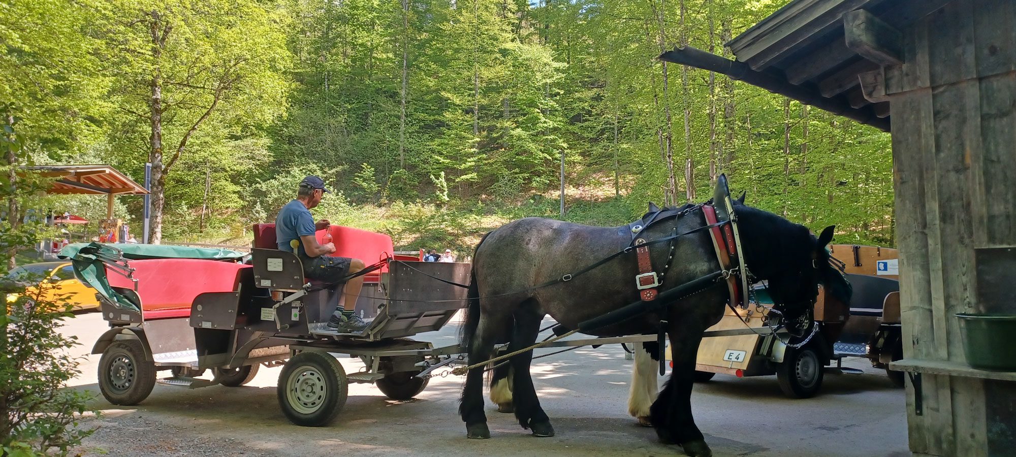 Why Responsible Tourism Matters: True Nomadism Vs Modern Digital-Age Travel