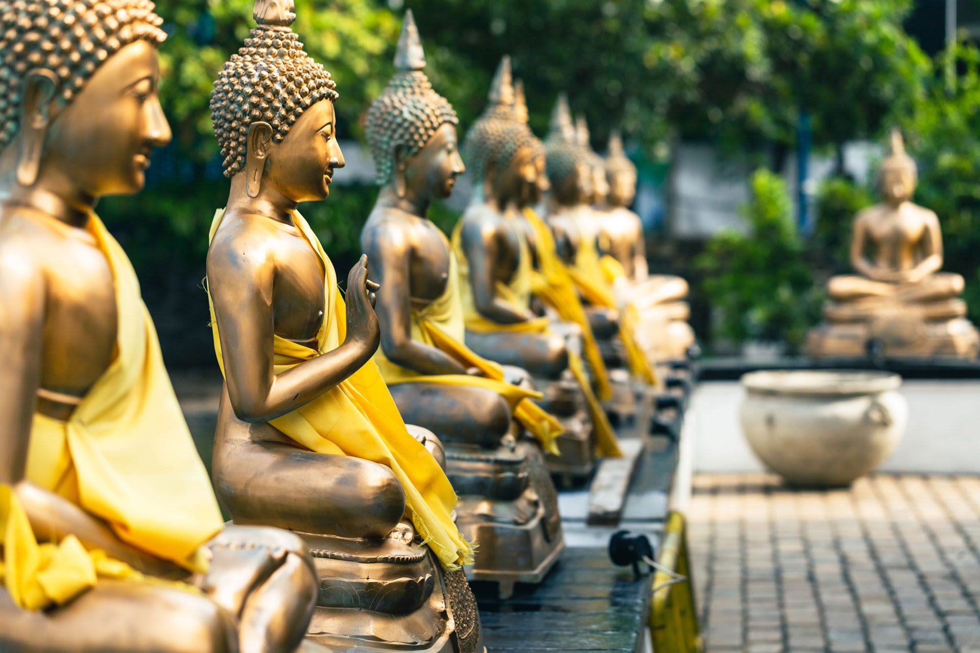 Sri Lanka 9 Days Tour Package from India – Culture, Tea Country & Coastal Bliss
